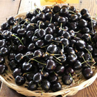 Black Cherry