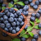 Blueberry
