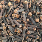 Clove
