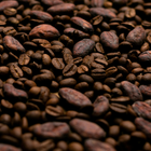 Cocoa