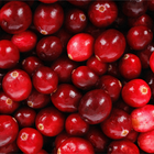 Cranberry