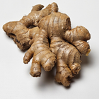 Ginger