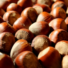 Hazelnut