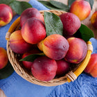 Nectarine