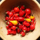 Pimento