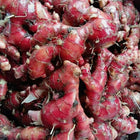 Red Ginger