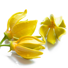 Ylang-ylang