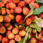 litchi